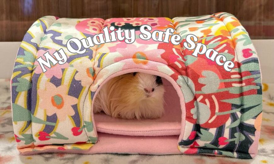 Why quality tunnels & hides matter for your small pet