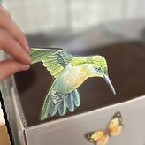 bird sticker for c&c cages