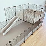 guinea pig cage