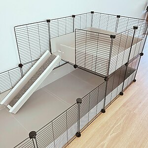 guinea pig cage